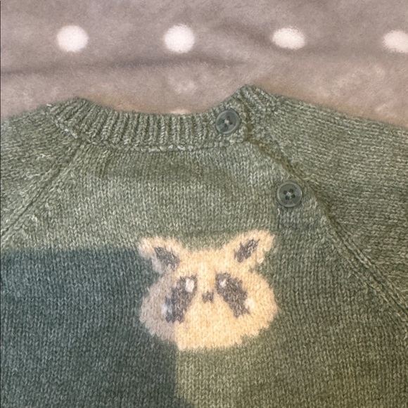 Zara Baby Raccoon Swater - Picture 11 of 12